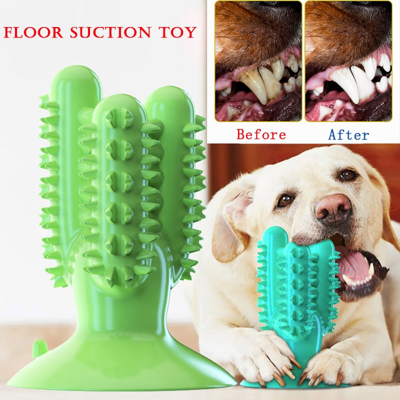 Toothbrush Toys for Dogs Interactive Toy freeshipping - FirstSightStore