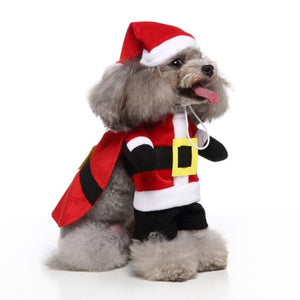 Cute Pet Clothes freeshipping - FirstSightStore